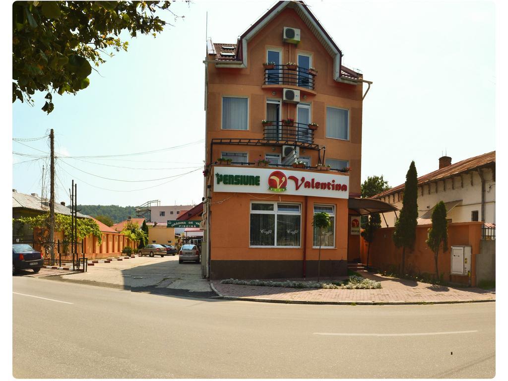 Pensiune Valentina 호텔 Râmnicu Vâlcea 외부 사진
